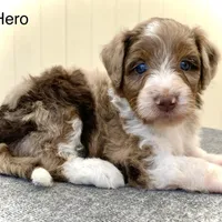 processed/c9aff989-fd72-41f4-b0ee-4272036e2bc4/facility/268dbc7f-e3d7-4aa9-87fd-58b0a879d600