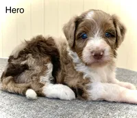 processed/c9aff989-fd72-41f4-b0ee-4272036e2bc4/facility/268dbc7f-e3d7-4aa9-87fd-58b0a879d600