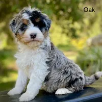 processed/c9aff989-fd72-41f4-b0ee-4272036e2bc4/facility/59d28b84-7e29-4d66-a7ef-5a93c9aa01fc