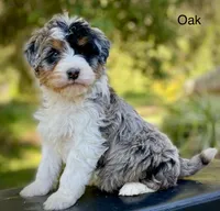 processed/c9aff989-fd72-41f4-b0ee-4272036e2bc4/facility/59d28b84-7e29-4d66-a7ef-5a93c9aa01fc