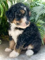 processed/c9aff989-fd72-41f4-b0ee-4272036e2bc4/facility/9a1b6296-eb77-452e-8f70-e127e611a732