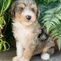 processed/c9aff989-fd72-41f4-b0ee-4272036e2bc4/facility/9d8b2500-ccfd-4df2-b066-195e40690bea