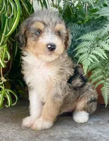 processed/c9aff989-fd72-41f4-b0ee-4272036e2bc4/facility/9d8b2500-ccfd-4df2-b066-195e40690bea