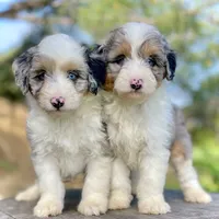 processed/c9aff989-fd72-41f4-b0ee-4272036e2bc4/facility/b548fbcf-2507-4c24-ba2d-b8c6dc46c639