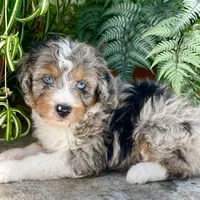 processed/c9aff989-fd72-41f4-b0ee-4272036e2bc4/facility/b7c1ab50-00c7-4e83-aa24-6e6114f5b36e