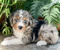 processed/c9aff989-fd72-41f4-b0ee-4272036e2bc4/facility/b7c1ab50-00c7-4e83-aa24-6e6114f5b36e