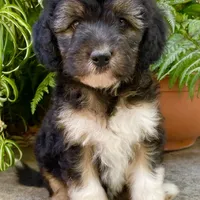 processed/c9aff989-fd72-41f4-b0ee-4272036e2bc4/facility/de4c6bee-bed7-484f-af76-2264f109e609