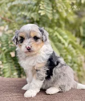 processed/c9aff989-fd72-41f4-b0ee-4272036e2bc4/listing/105a0e3d-48b1-486a-a886-d32da2d99f94/269c3d4b-d1fc-4d55-8d87-1fc19f87d4f7