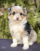 processed/c9aff989-fd72-41f4-b0ee-4272036e2bc4/listing/105a0e3d-48b1-486a-a886-d32da2d99f94/57d1acc3-5429-4ed7-bcaa-57767cfc0d25