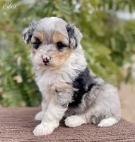 processed/c9aff989-fd72-41f4-b0ee-4272036e2bc4/listing/105a0e3d-48b1-486a-a886-d32da2d99f94/9b2f44a7-b1cf-4329-9a0e-a3c7a08f2b93