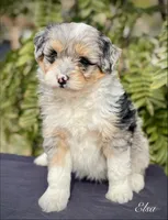 processed/c9aff989-fd72-41f4-b0ee-4272036e2bc4/listing/105a0e3d-48b1-486a-a886-d32da2d99f94/b1f38a35-767e-4c55-b35d-d6b55537e2a6