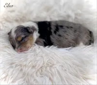 processed/c9aff989-fd72-41f4-b0ee-4272036e2bc4/listing/105a0e3d-48b1-486a-a886-d32da2d99f94/bdb85f16-46eb-47ef-bd44-560cb8933bc6