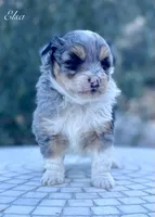 processed/c9aff989-fd72-41f4-b0ee-4272036e2bc4/listing/105a0e3d-48b1-486a-a886-d32da2d99f94/c6fe40f7-7513-4faf-9d06-4ce60e7d4787