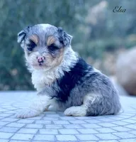 processed/c9aff989-fd72-41f4-b0ee-4272036e2bc4/listing/105a0e3d-48b1-486a-a886-d32da2d99f94/ed447581-9da7-44e8-a7e8-08c7a22da055