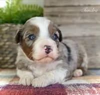 processed/c9aff989-fd72-41f4-b0ee-4272036e2bc4/listing/1f3e09aa-46b3-4c92-a0aa-386b3957bf0e/8cdfd99f-5575-4ced-a10f-b14291216eec