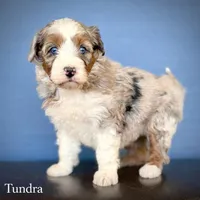 processed/c9aff989-fd72-41f4-b0ee-4272036e2bc4/listing/1f3e09aa-46b3-4c92-a0aa-386b3957bf0e/9449ca62-469c-41e4-b751-097d002193c8