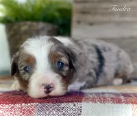 processed/c9aff989-fd72-41f4-b0ee-4272036e2bc4/listing/1f3e09aa-46b3-4c92-a0aa-386b3957bf0e/d3d0ebcf-5860-4bce-8424-4056e44887e0