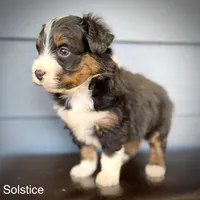 processed/c9aff989-fd72-41f4-b0ee-4272036e2bc4/listing/32c12712-854a-4422-87c7-2c1cd284dcda/2fe404ac-4ef1-43d7-8ca9-80f677aab538