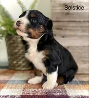 processed/c9aff989-fd72-41f4-b0ee-4272036e2bc4/listing/32c12712-854a-4422-87c7-2c1cd284dcda/5c4637a1-4a67-4fb0-a22b-675053d14ac6