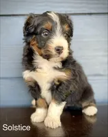 processed/c9aff989-fd72-41f4-b0ee-4272036e2bc4/listing/32c12712-854a-4422-87c7-2c1cd284dcda/79893751-2410-432c-ad97-49e0fb414913