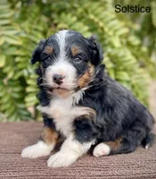 processed/c9aff989-fd72-41f4-b0ee-4272036e2bc4/listing/32c12712-854a-4422-87c7-2c1cd284dcda/ce48ebcc-bf54-4d54-b7a0-2a066480a84b