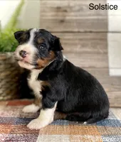 processed/c9aff989-fd72-41f4-b0ee-4272036e2bc4/listing/32c12712-854a-4422-87c7-2c1cd284dcda/e9b999b7-0b5c-4f65-ada5-027615106695