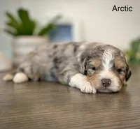 processed/c9aff989-fd72-41f4-b0ee-4272036e2bc4/listing/36a6f707-5043-4d7f-9ad3-643d02c2f631/15a6a504-e4ae-4cb4-b288-41b73ffc573c