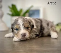 processed/c9aff989-fd72-41f4-b0ee-4272036e2bc4/listing/36a6f707-5043-4d7f-9ad3-643d02c2f631/1ac743b5-a377-4345-8976-ac95f29e0db2