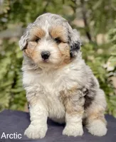 processed/c9aff989-fd72-41f4-b0ee-4272036e2bc4/listing/36a6f707-5043-4d7f-9ad3-643d02c2f631/2358793b-d2cc-45f2-8cc0-2b8cf048fb84