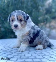 processed/c9aff989-fd72-41f4-b0ee-4272036e2bc4/listing/36a6f707-5043-4d7f-9ad3-643d02c2f631/40b3b1d9-3a7b-46cc-9d0f-304c38a8c360