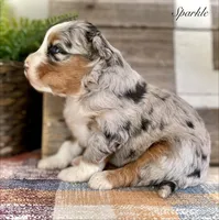 processed/c9aff989-fd72-41f4-b0ee-4272036e2bc4/listing/aff9b19f-f81c-457f-95c8-7ddeb7c8ccb9/14b7f476-33ab-4fec-90a7-e5084422e336