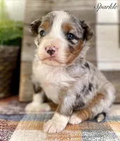 processed/c9aff989-fd72-41f4-b0ee-4272036e2bc4/listing/aff9b19f-f81c-457f-95c8-7ddeb7c8ccb9/95b1d523-6e2e-465c-86d0-017a8491078c