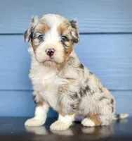 processed/c9aff989-fd72-41f4-b0ee-4272036e2bc4/listing/aff9b19f-f81c-457f-95c8-7ddeb7c8ccb9/96be7258-446a-4c13-9593-2d02a1914e06