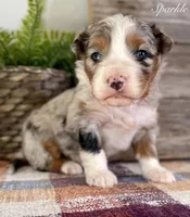 processed/c9aff989-fd72-41f4-b0ee-4272036e2bc4/listing/aff9b19f-f81c-457f-95c8-7ddeb7c8ccb9/a970f751-0f34-479c-b130-58e3ffdf21d8