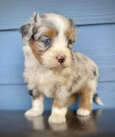 processed/c9aff989-fd72-41f4-b0ee-4272036e2bc4/listing/aff9b19f-f81c-457f-95c8-7ddeb7c8ccb9/b4f8715c-d4a2-4eab-9eed-310068c7bfe6