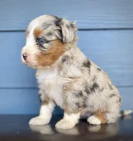 processed/c9aff989-fd72-41f4-b0ee-4272036e2bc4/listing/aff9b19f-f81c-457f-95c8-7ddeb7c8ccb9/efc6a29a-bf6a-495c-a2c0-b9c7f65f4158