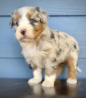 processed/c9aff989-fd72-41f4-b0ee-4272036e2bc4/listing/aff9b19f-f81c-457f-95c8-7ddeb7c8ccb9/feeb7030-6e35-423e-a5a0-686c18ced457