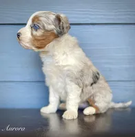 processed/c9aff989-fd72-41f4-b0ee-4272036e2bc4/listing/d7b3f0d2-921f-43ab-ba69-0a8a772517a3/31b57a5c-3fee-48bf-989b-eecb9f08cedc