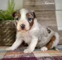 processed/c9aff989-fd72-41f4-b0ee-4272036e2bc4/listing/d7b3f0d2-921f-43ab-ba69-0a8a772517a3/639bd61b-3888-4d43-a781-4d8197139858