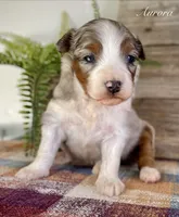 processed/c9aff989-fd72-41f4-b0ee-4272036e2bc4/listing/d7b3f0d2-921f-43ab-ba69-0a8a772517a3/7d53b0b6-75c6-43ef-a748-4e74e9268f44