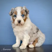 processed/c9aff989-fd72-41f4-b0ee-4272036e2bc4/listing/d7b3f0d2-921f-43ab-ba69-0a8a772517a3/886eaf17-e767-424b-b5fb-bd6b3d22668b