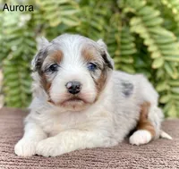 processed/c9aff989-fd72-41f4-b0ee-4272036e2bc4/listing/d7b3f0d2-921f-43ab-ba69-0a8a772517a3/c22a4b80-82dc-4a12-9a3c-1b59c465f3b7