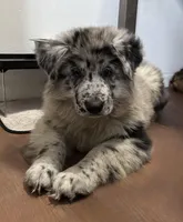 processed/c9b3d3c6-54da-414f-8c77-6cbafee59269/listing/7b07f420-d4db-4594-b872-219e76a42e5c/61237729-a7c6-4886-a7db-2110850cec9b