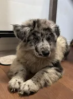 processed/c9b3d3c6-54da-414f-8c77-6cbafee59269/listing/7b07f420-d4db-4594-b872-219e76a42e5c/822214f0-0a29-4d52-bfc2-009cf0976ed4