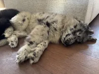 processed/c9b3d3c6-54da-414f-8c77-6cbafee59269/listing/7b07f420-d4db-4594-b872-219e76a42e5c/b2f0c6c3-a78f-48eb-b947-8203c9fbf9fe