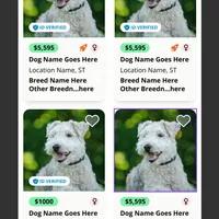 test listing, a male Norrbottenspetz for sale in Tucson, AZ – Photo 2 of 2