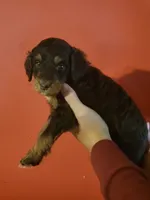 processed/c9bb1957-b4e2-4ab3-8bb7-4b9fd75a894b/listing/0d41eaa8-8f94-4101-bc01-60c3da70cce7/5406682b-f45a-4686-a9e6-5ac7082e812b