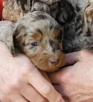 processed/c9bb1957-b4e2-4ab3-8bb7-4b9fd75a894b/listing/59e7a01a-101a-43ec-b594-f6b3095d4d3c/9e929906-c96d-42d5-87da-0d75718f36bf