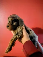 processed/c9bb1957-b4e2-4ab3-8bb7-4b9fd75a894b/listing/59e7a01a-101a-43ec-b594-f6b3095d4d3c/c94d99a2-4dd1-41e8-8a55-1c2444139f49