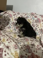 processed/c9c9664a-c8c4-4777-a5f5-9f2a0887fabc/listing/0f884948-448f-4fd1-9f4c-e2765940542c/c4e995c0-c6d0-4da4-9237-d3d189a7108e